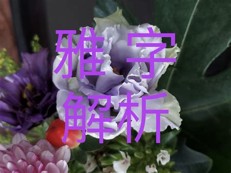 雅姓名學